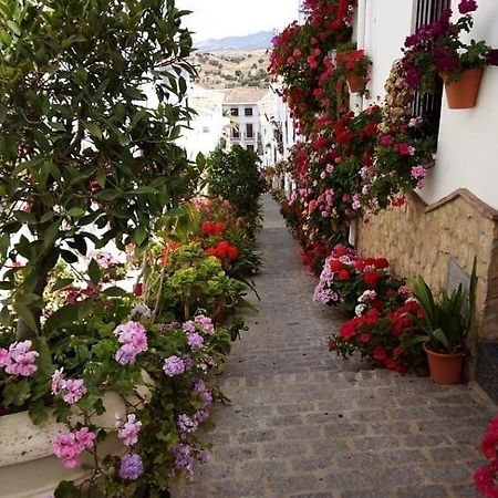Casa De Las Flores - A Picture Perfect Location! El Gastor Exteriör bild