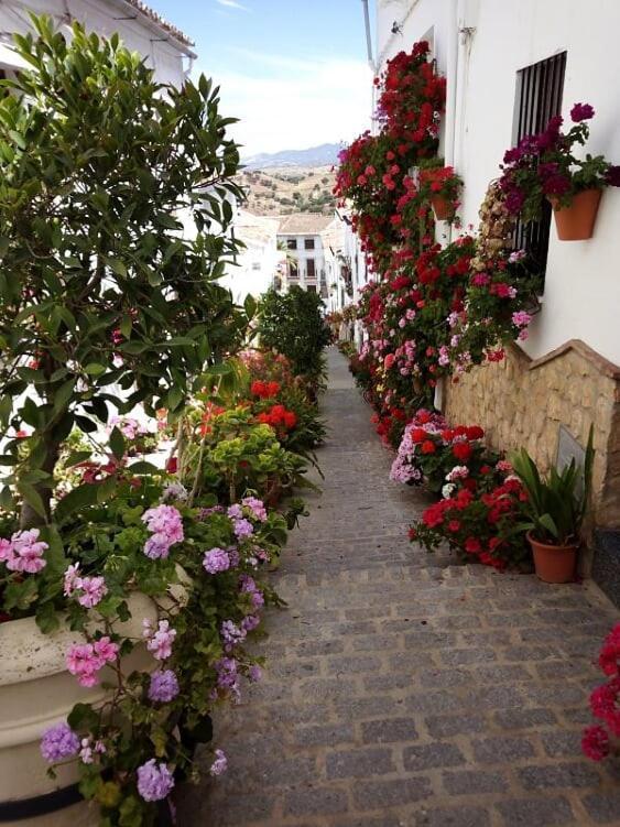 Casa De Las Flores - A Picture Perfect Location! El Gastor Exteriör bild
