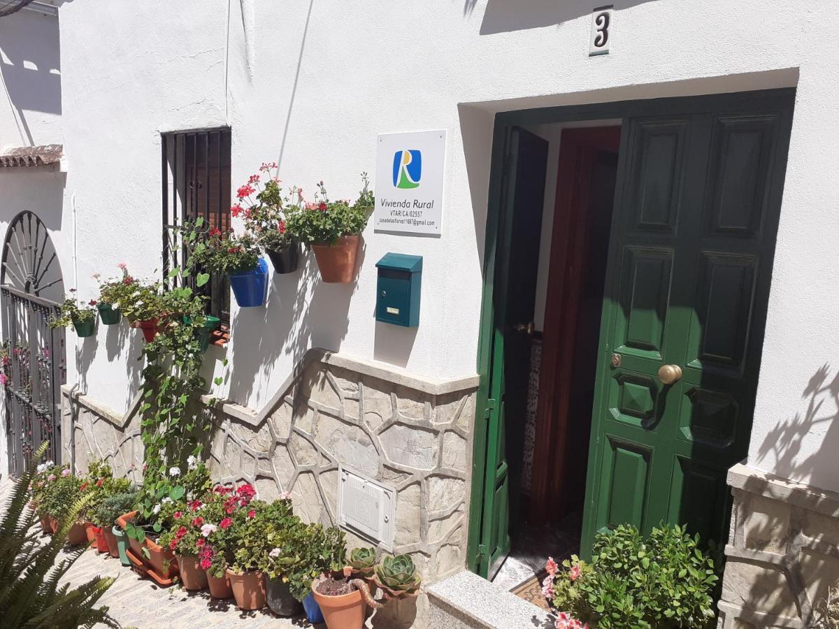Casa De Las Flores - A Picture Perfect Location! El Gastor Exteriör bild