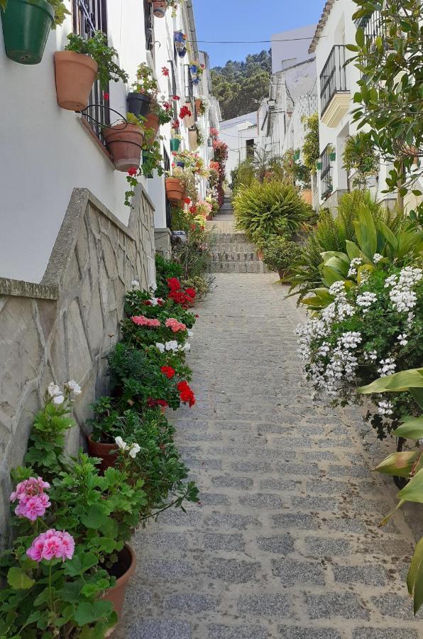 Casa De Las Flores - A Picture Perfect Location! El Gastor Exteriör bild