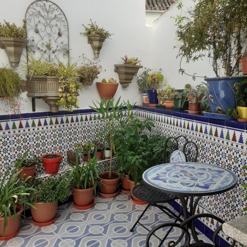 Casa De Las Flores - A Picture Perfect Location! El Gastor Exteriör bild