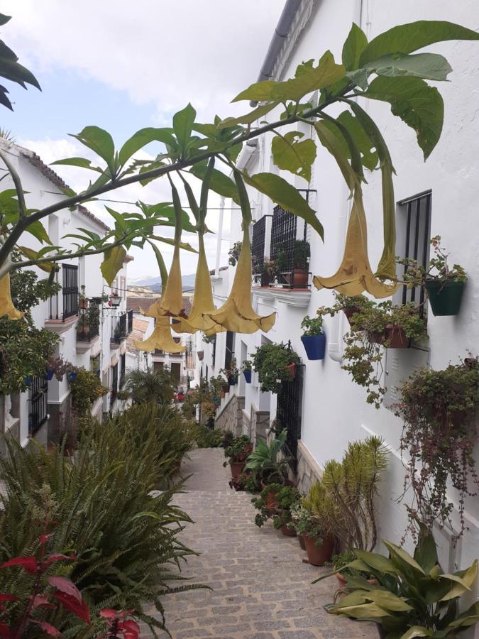 Casa De Las Flores - A Picture Perfect Location! El Gastor Exteriör bild