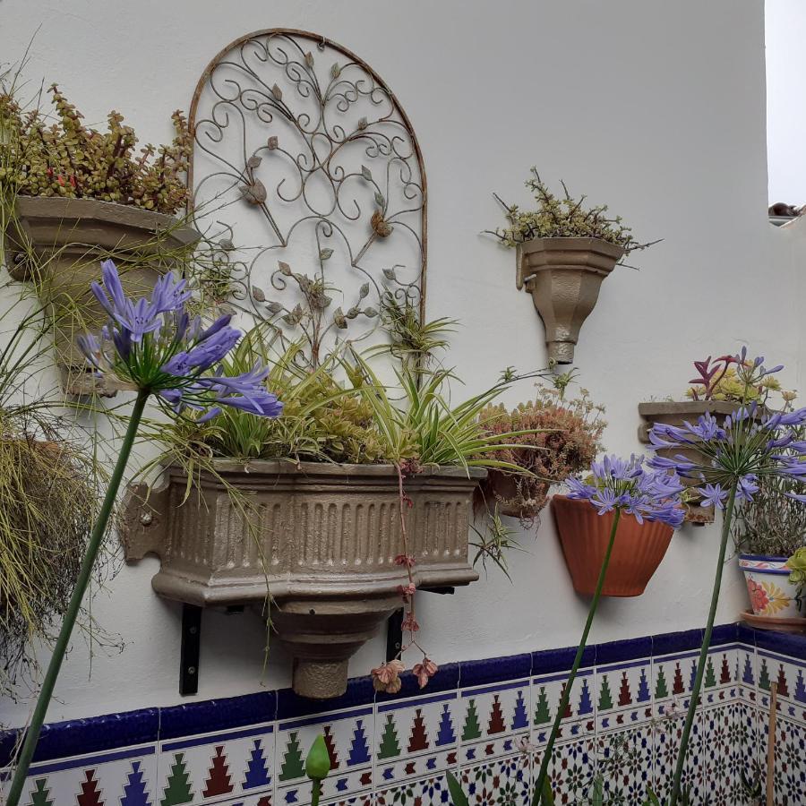 Casa De Las Flores - A Picture Perfect Location! El Gastor Exteriör bild