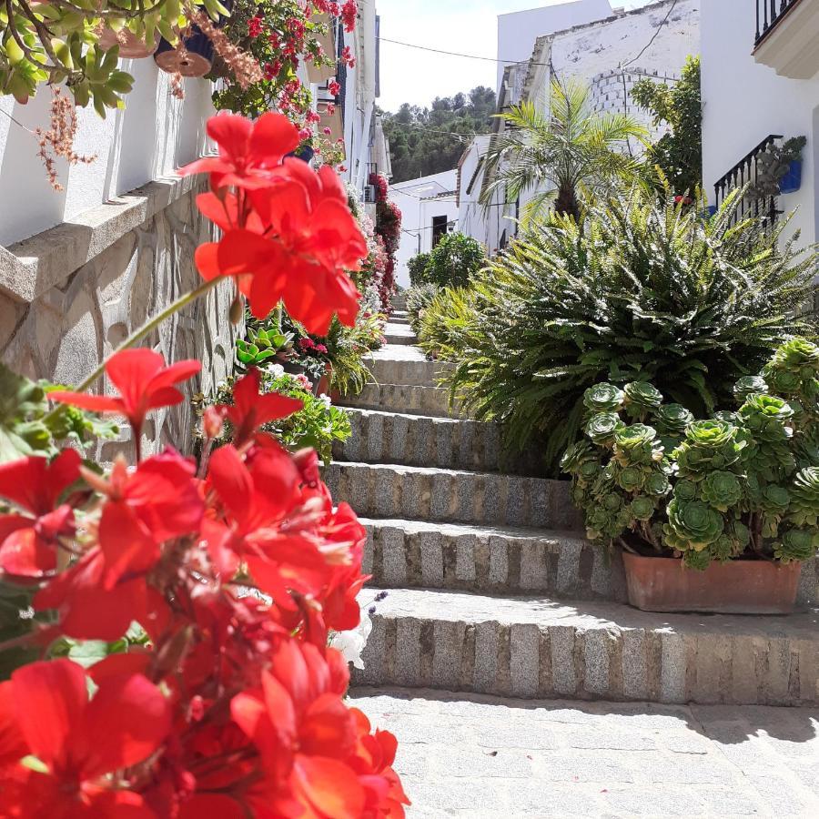Casa De Las Flores - A Picture Perfect Location! El Gastor Exteriör bild